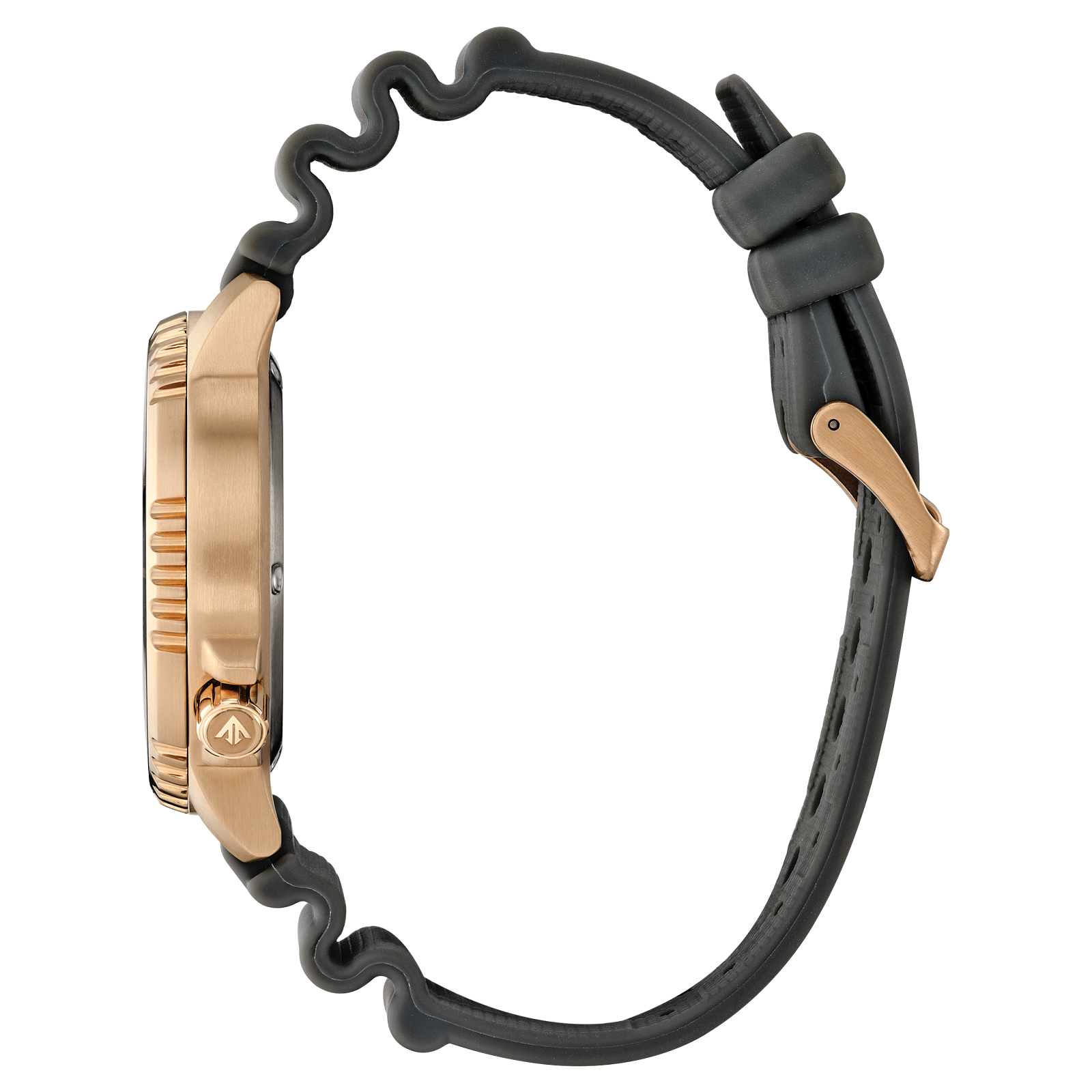 Reloj Citizen Promaster Dive BN0163-00H | Elegancia relojería