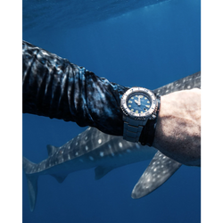 Reloj Citizen Promaster Dive BN0165-55L | Elegancia relojería