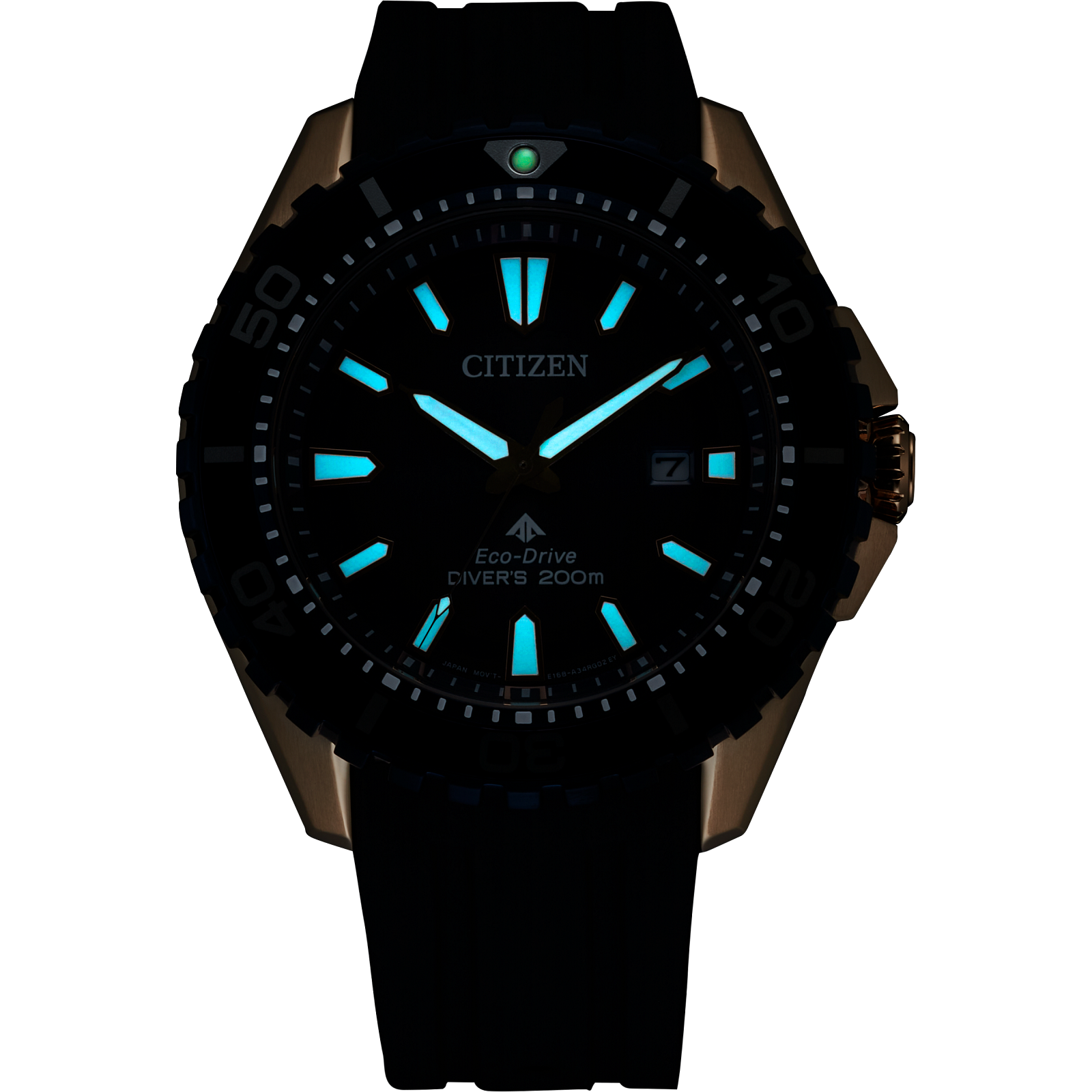Reloj Citizen Promaster Dive BN0196-01L | Elegancia relojería