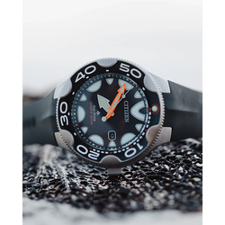 Reloj Citizen Promaster Dive BN0230-04E | Elegancia relojería