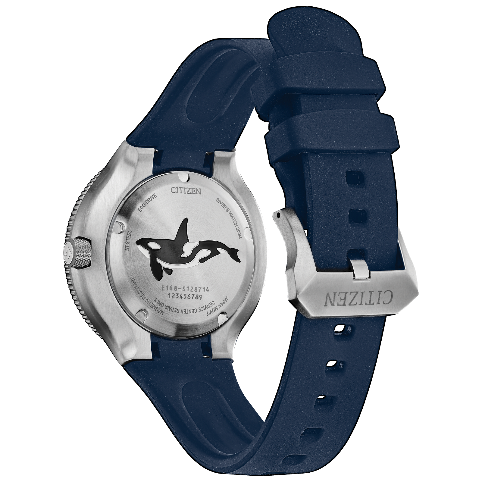 Reloj Citizen Promaster Dive BN0231-01L | Elegancia relojería