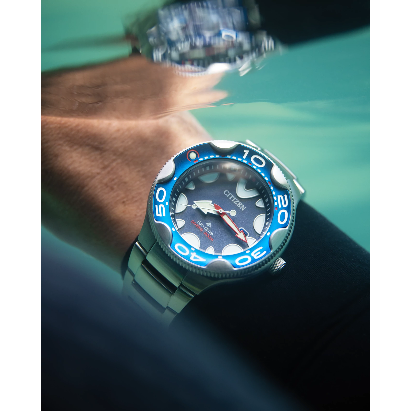 Reloj Citizen Promaster Dive BN0231-52L | Elegancia relojería