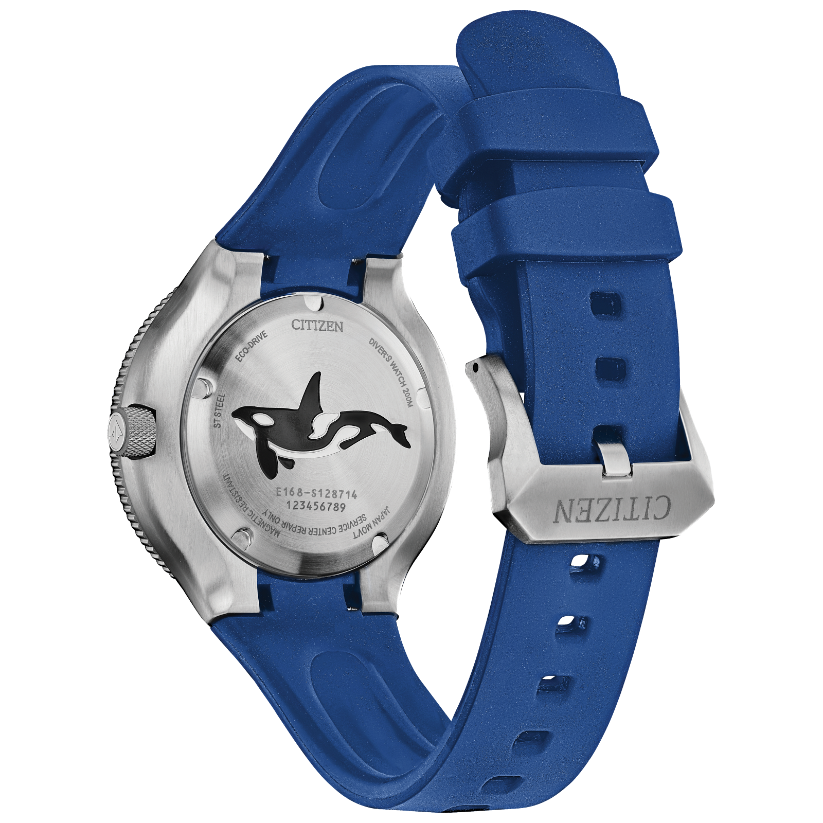 Reloj Citizen Promaster Dive BN0238-02L | Elegancia relojería