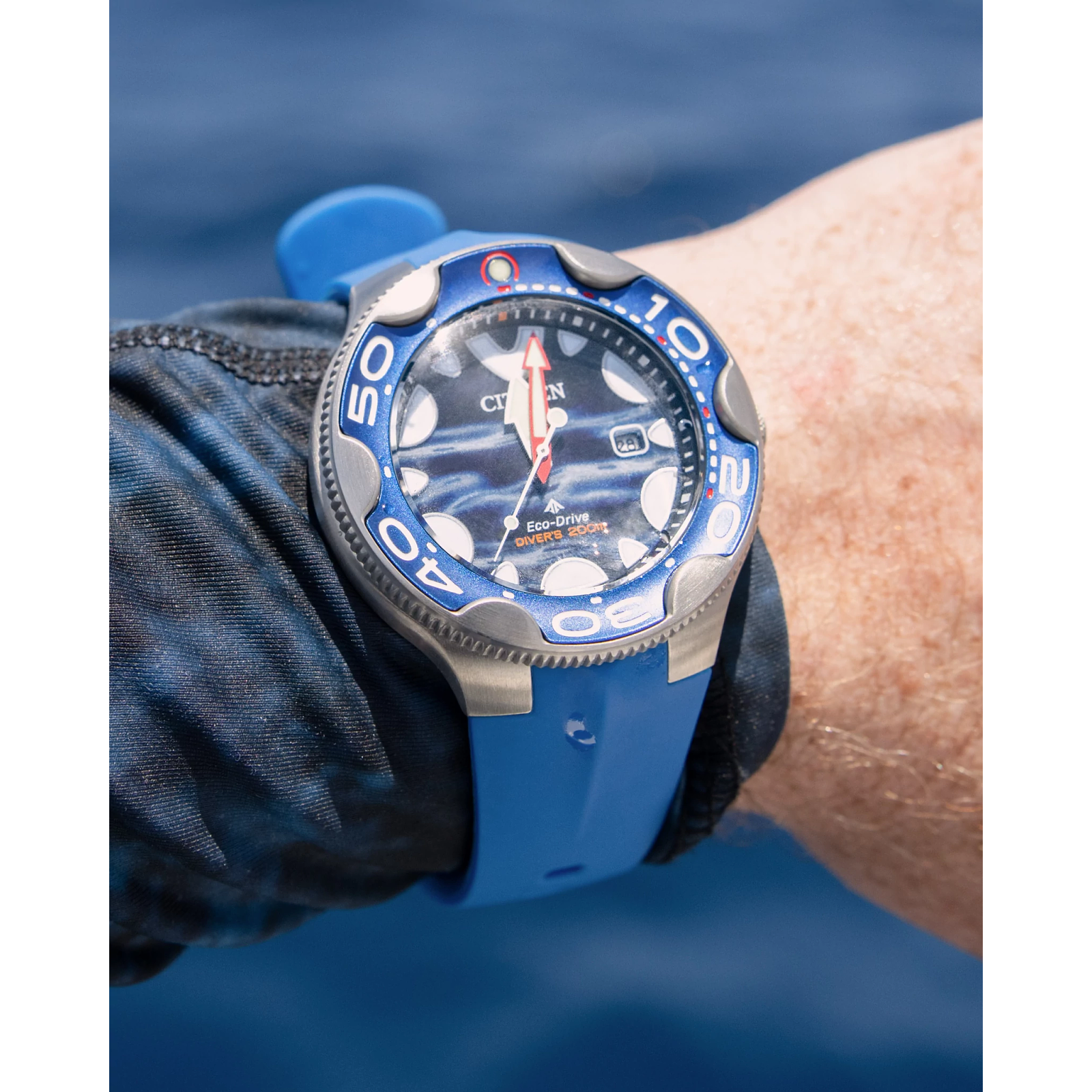 Reloj Citizen Promaster Dive BN0238-02L | Elegancia relojería