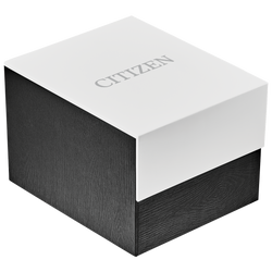 Reloj Citizen Promaster Dive BN0167-50H | Elegancia relojería