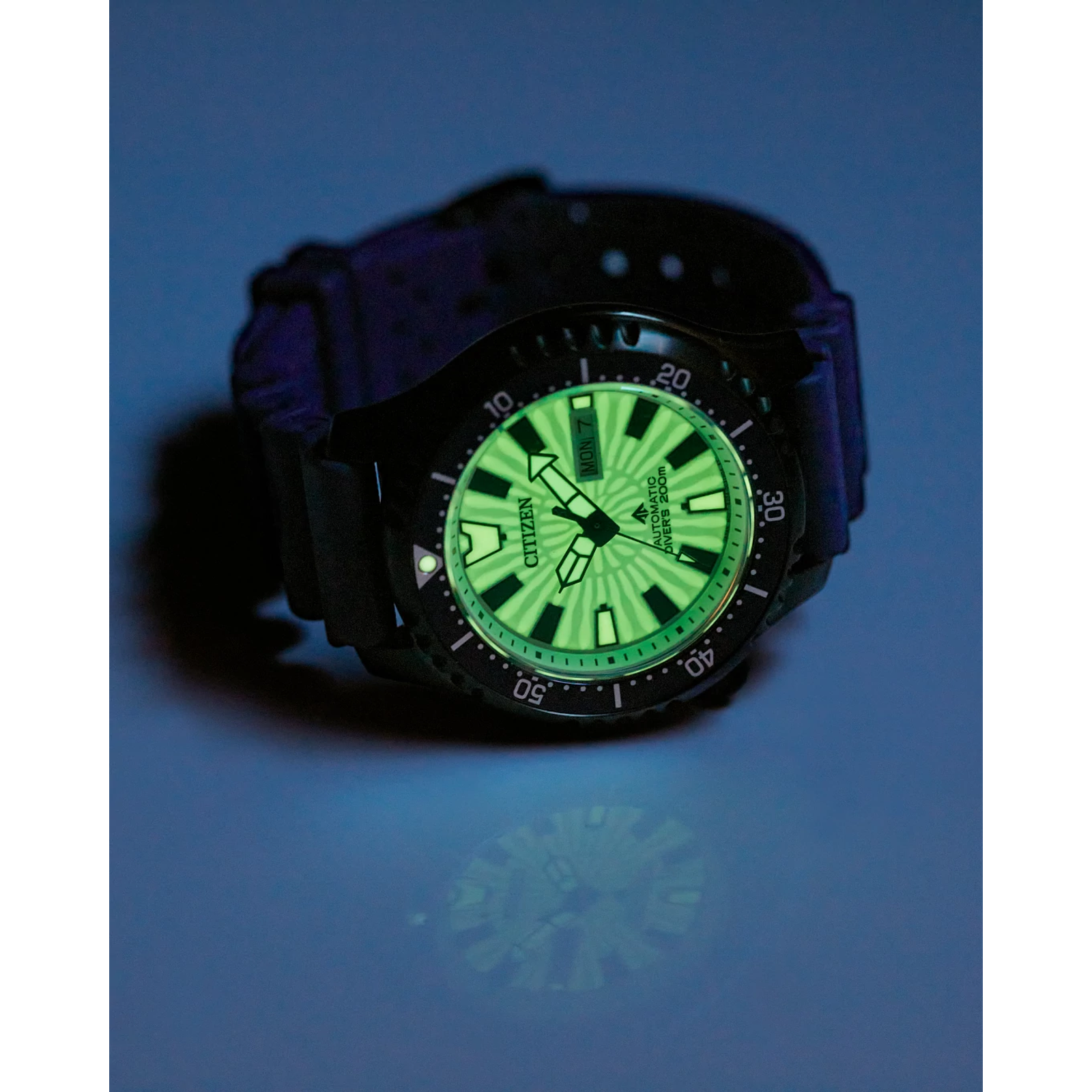 Reloj Citizen Promaster Dive Automatic NY0137-09A | Elegancia relojería