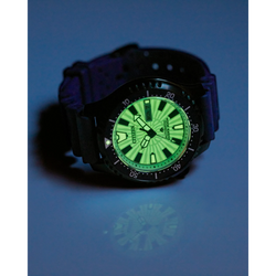 Reloj Citizen Promaster Dive Automatic NY0137-09A | Elegancia relojería